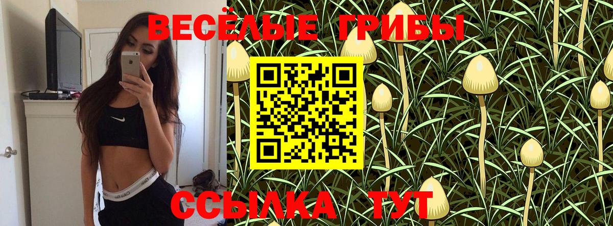 Избербаш  Галлюциногенные грибы Cubensis  Вход с VPN 